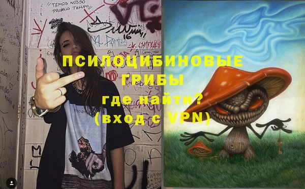 мдпв Алзамай