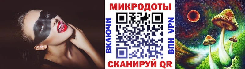 сколько стоит  Новая Ляля  Псилоцибиновые грибы Cubensis 